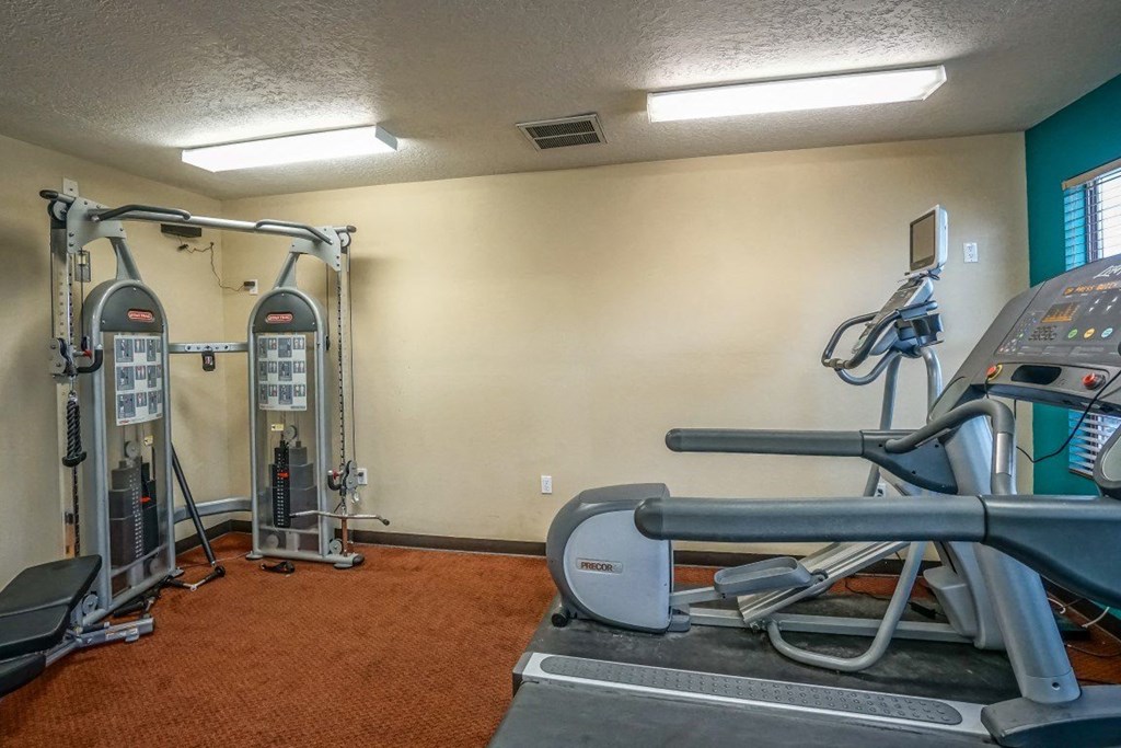A gym with a treadmill, elliptical trainer, and two leg press machines.